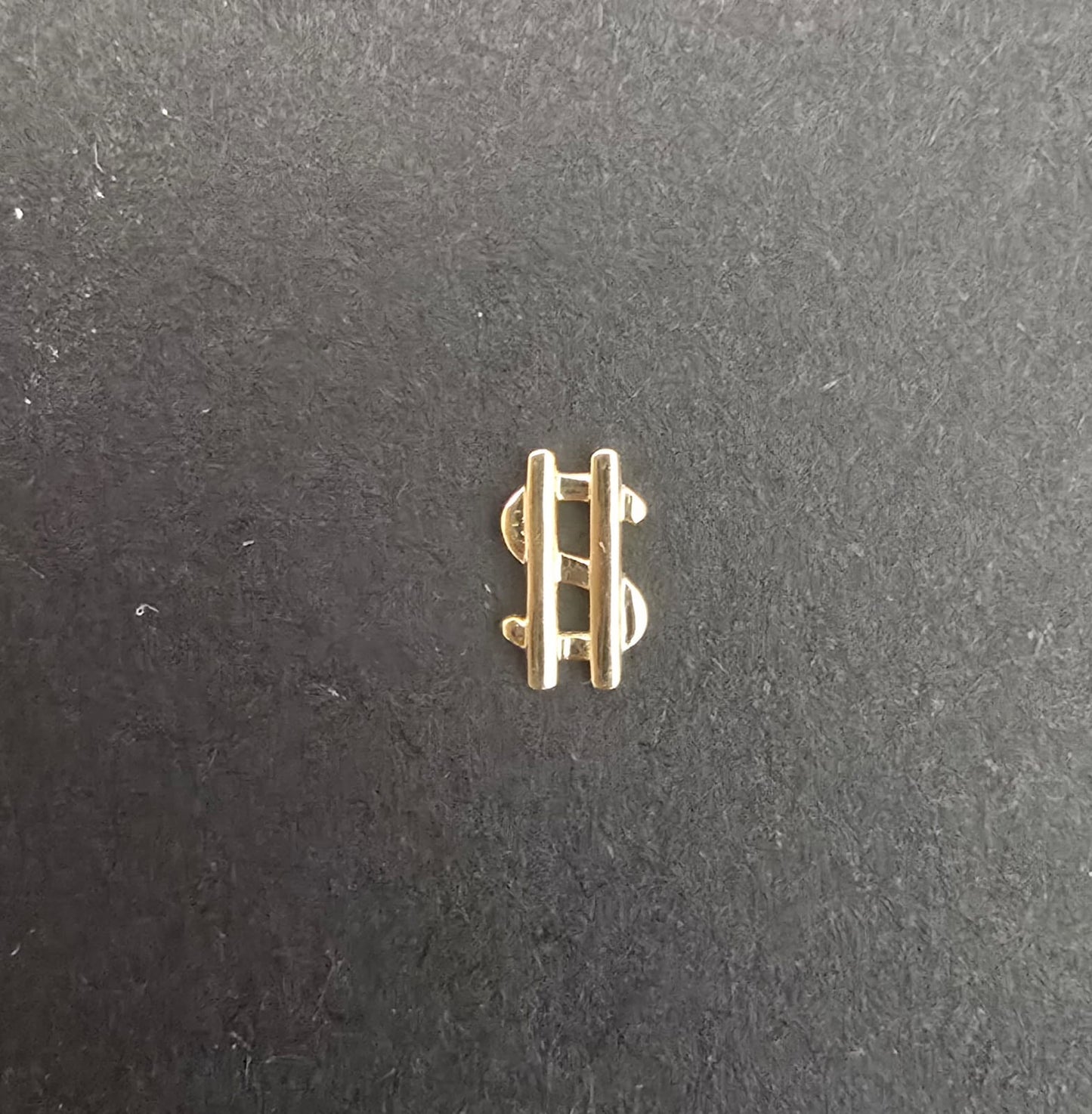 Charm Oro 18k Dollar